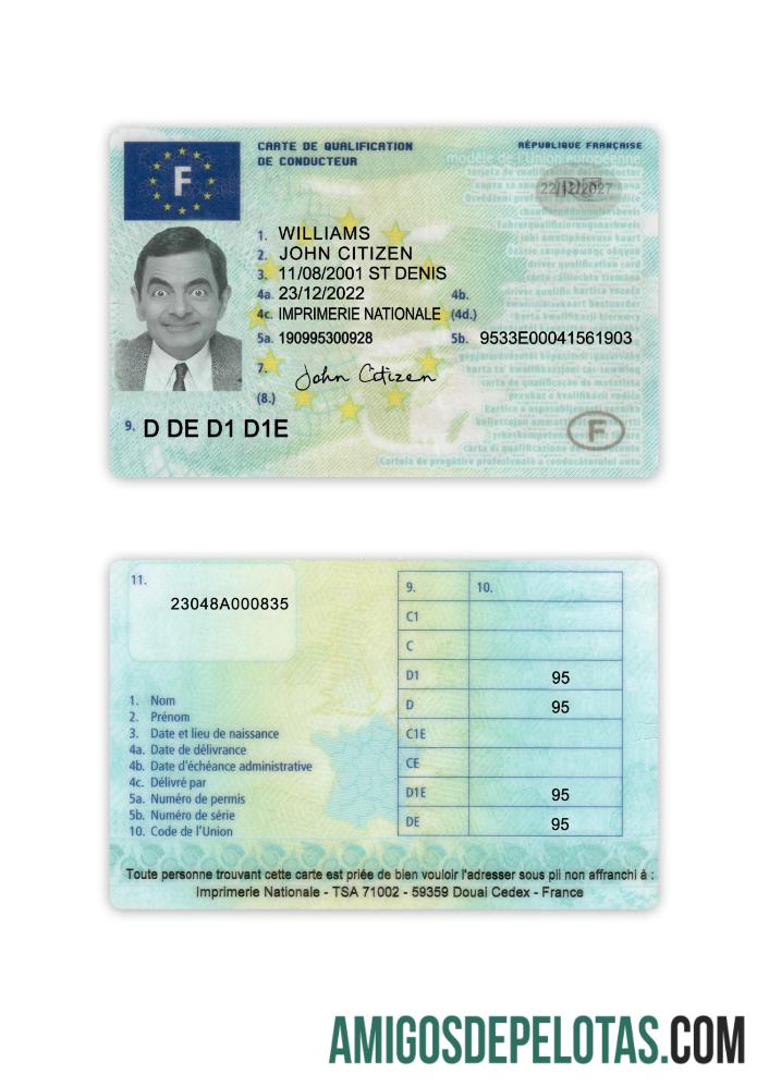 Carta de condução francesa 2022 presente exemplo